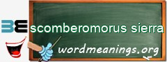 WordMeaning blackboard for scomberomorus sierra